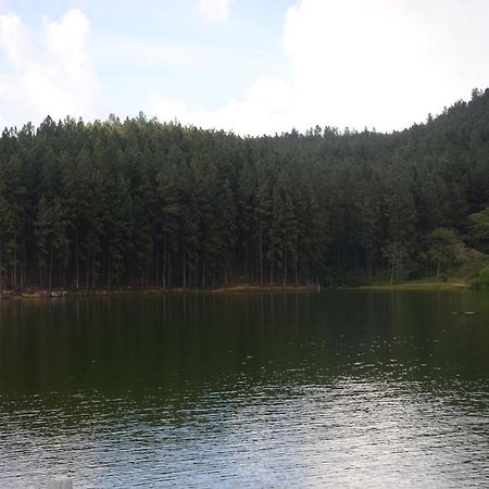 Spiritual Nature Farm - Sri Lanka マータレー エクステリア 写真