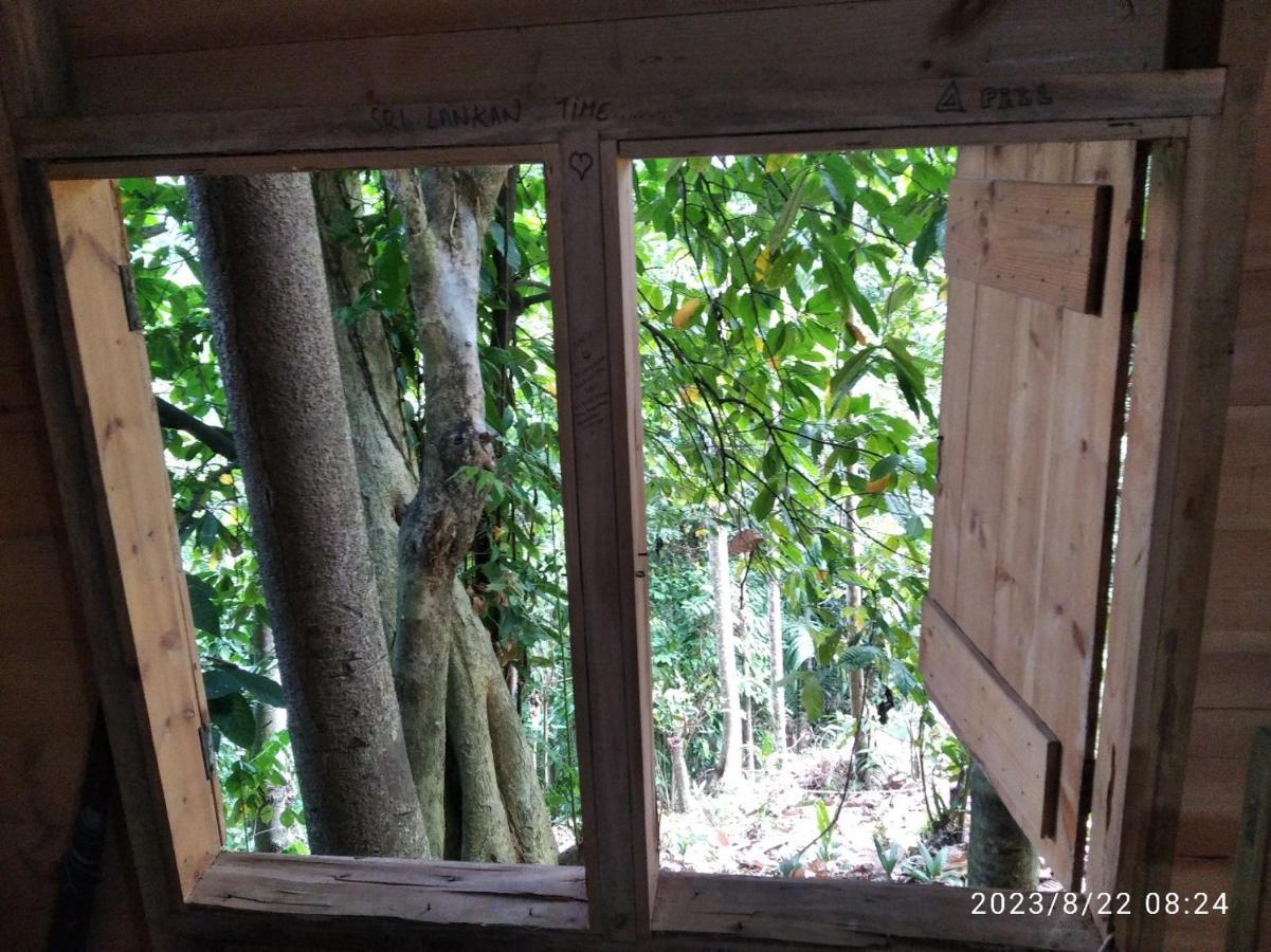 Spiritual Nature Farm - Sri Lanka マータレー エクステリア 写真