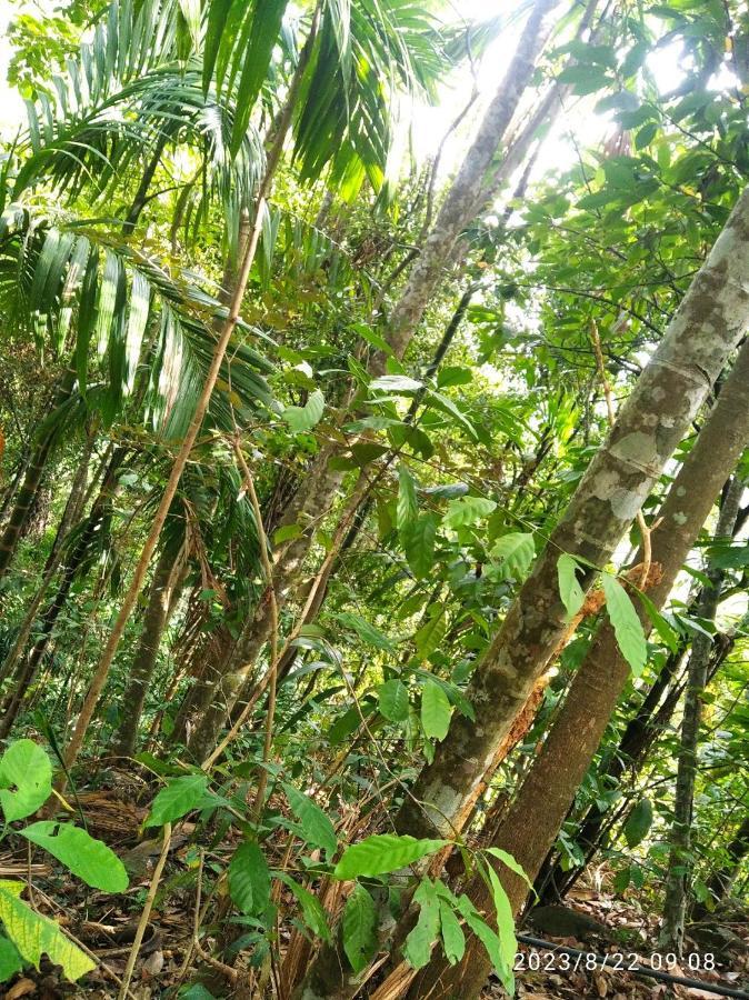 Spiritual Nature Farm - Sri Lanka マータレー エクステリア 写真