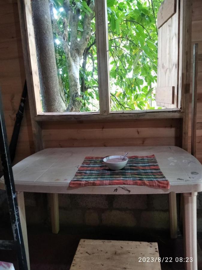 Spiritual Nature Farm - Sri Lanka マータレー エクステリア 写真
