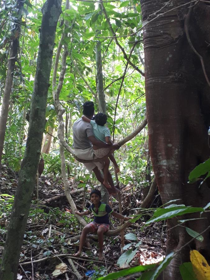Spiritual Nature Farm - Sri Lanka マータレー エクステリア 写真