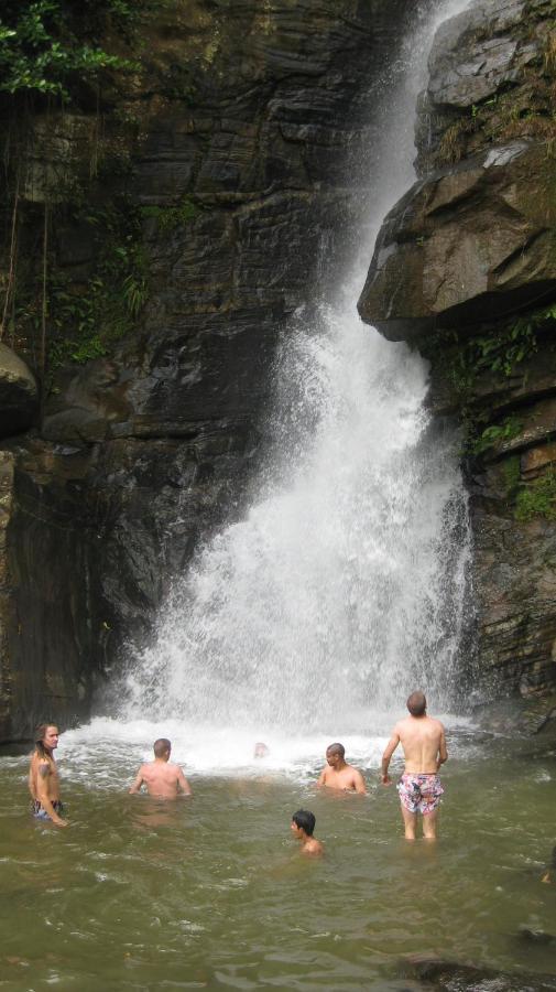 Spiritual Nature Farm - Sri Lanka マータレー エクステリア 写真