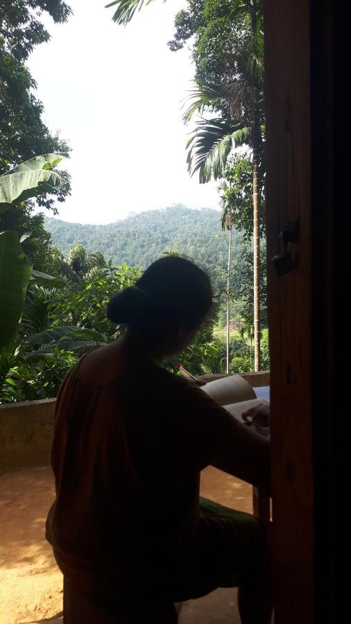 Spiritual Nature Farm - Sri Lanka マータレー エクステリア 写真