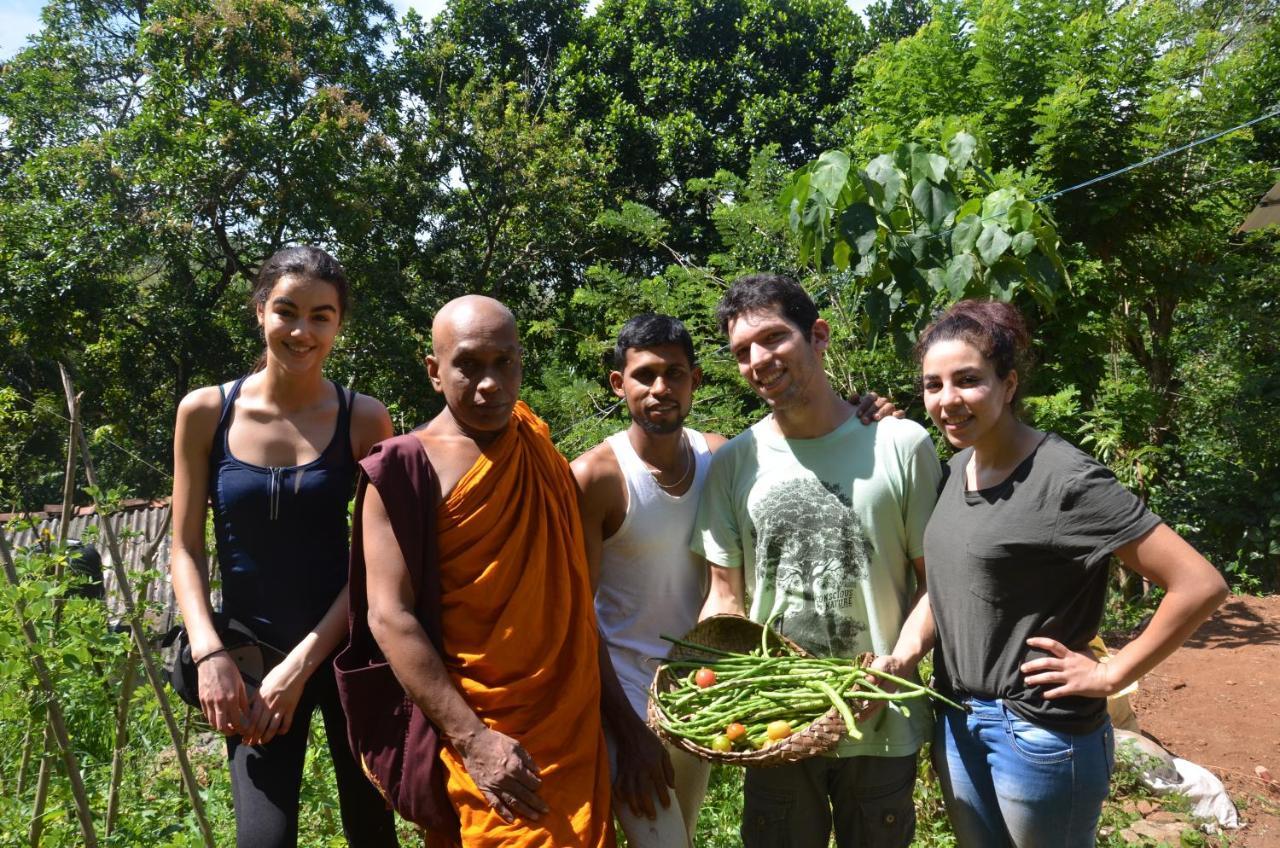 Spiritual Nature Farm - Sri Lanka マータレー エクステリア 写真