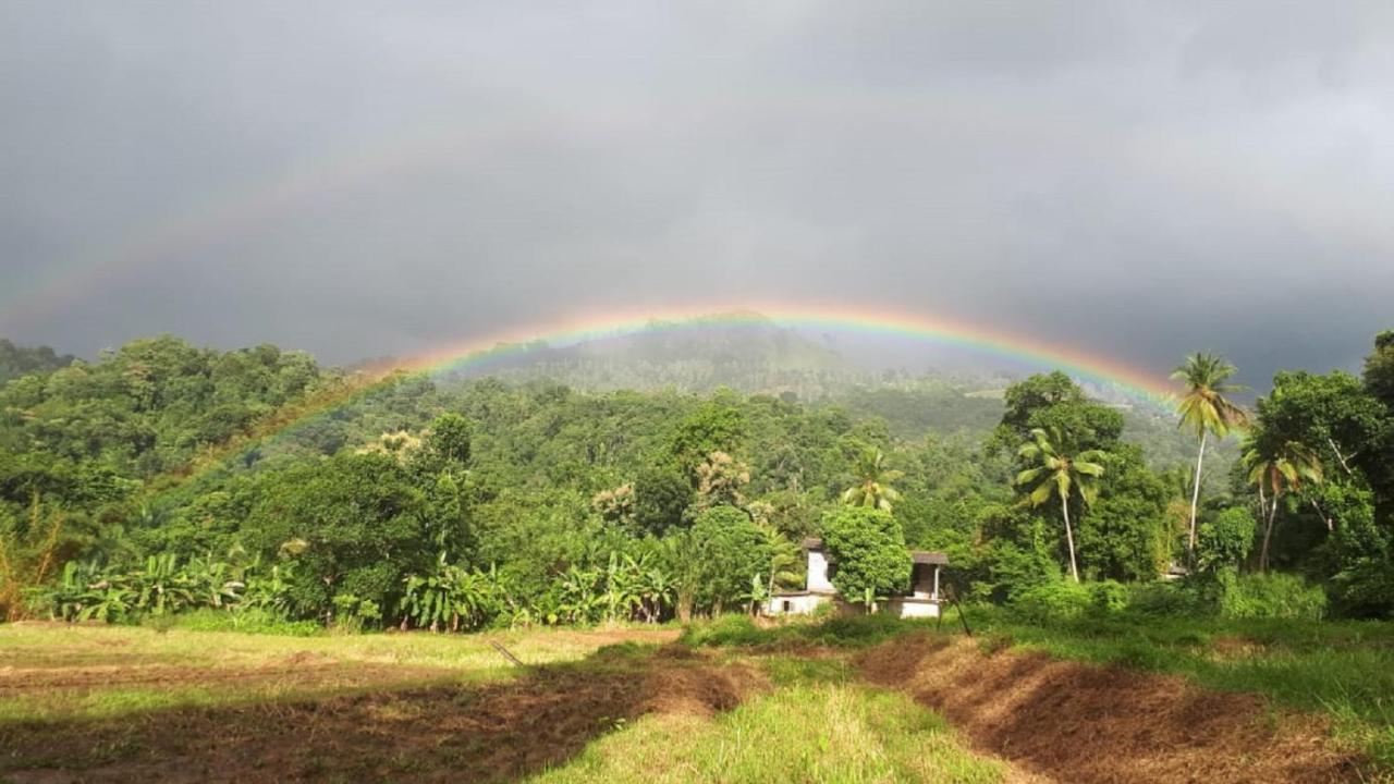 Spiritual Nature Farm - Sri Lanka マータレー エクステリア 写真
